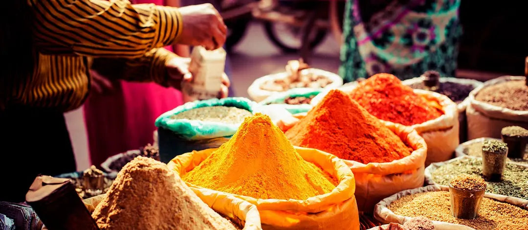 Meet India:  Palaces & Deserts of Rajasthan India in 13 Days