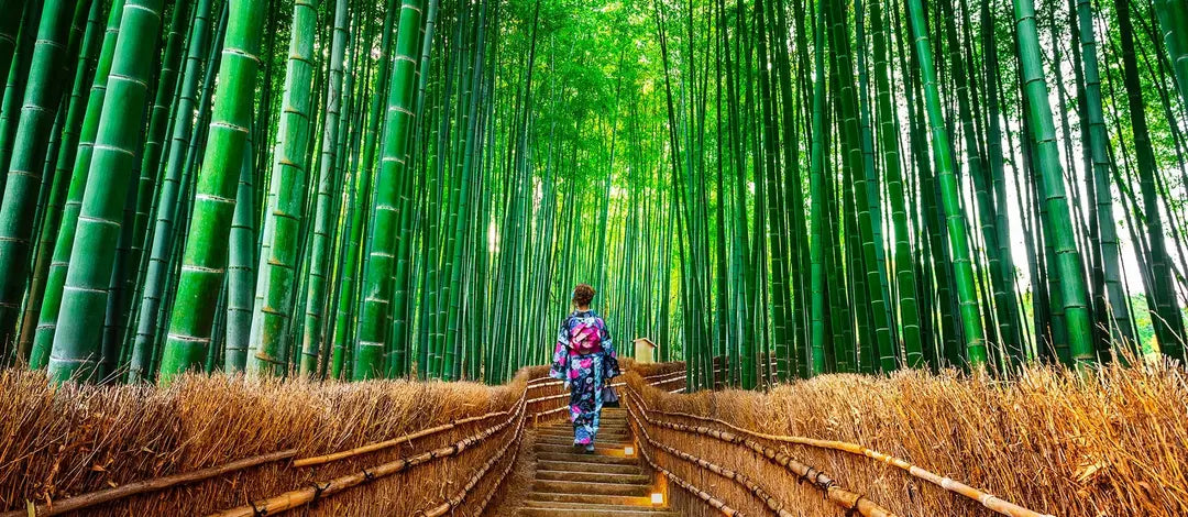 Self-Guided Japanese Adventure