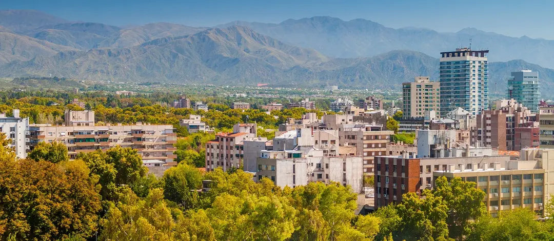 Meet Chile & Argentina:  South American Capitals & Mendoza