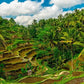 Meet Indonesia:  Adventures in Java & Bali Paradise