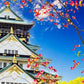 Meet Japan:  Self-Guided Land of the Rising Sun