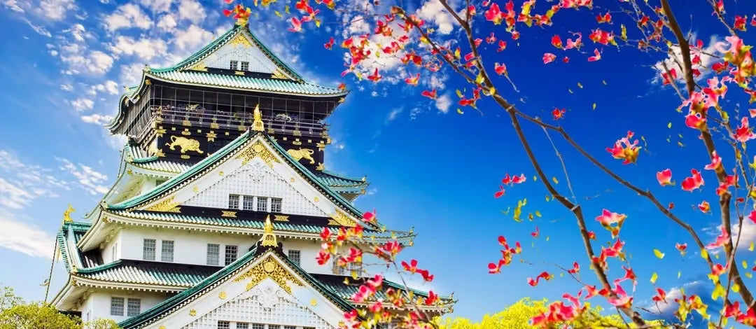 Meet Japan:  Self-Guided Land of the Rising Sun