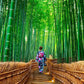 Self-Guided Japanese Adventure