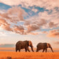 Meet Kenya & Tanzania: From the Maasai Mara to the Serengeti