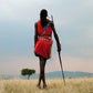 Meet Kenya & Tanzania: From the Maasai Mara to the Serengeti
