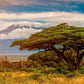 Meet Kenya & Tanzania: From the Maasai Mara to the Serengeti