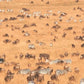 Meet Kenya & Tanzania: From the Maasai Mara to the Serengeti