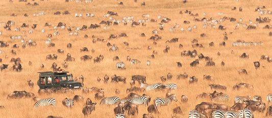 Meet Kenya & Tanzania: From the Maasai Mara to the Serengeti