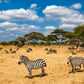 Meet Kenya & Tanzania: From the Maasai Mara to the Serengeti