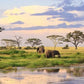 Meet Kenya & Tanzania: From the Maasai Mara to the Serengeti