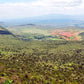 Meet Kenya: Nairobi, Wildlife Safari & Nyahururu