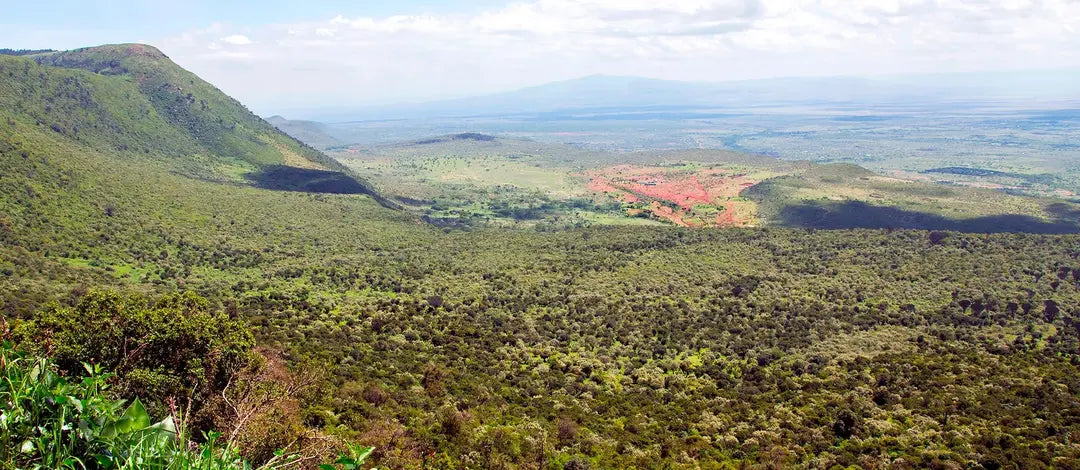 Meet Kenya: Nairobi, Wildlife Safari & Nyahururu