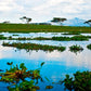 Meet Kenya: Nairobi, Wildlife Safari & Nyahururu