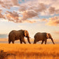 Meet Kenya: Nairobi, Wildlife Safari & Nyahururu