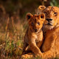 Meet Kenya: Savannah, Safari & Maasai Mara