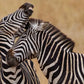 Meet South Africa & Zimbabwe: Cape, Kruger & Victoria Falls