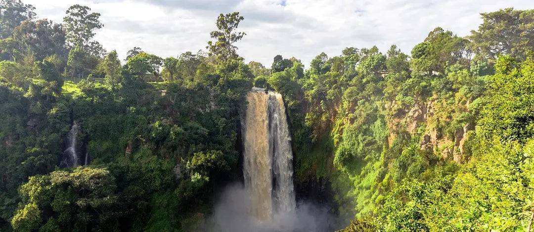 Meet Kenya: Nairobi, Wildlife Safari & Nyahururu