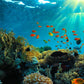 Meet Australia: Cities & Natural Wonders