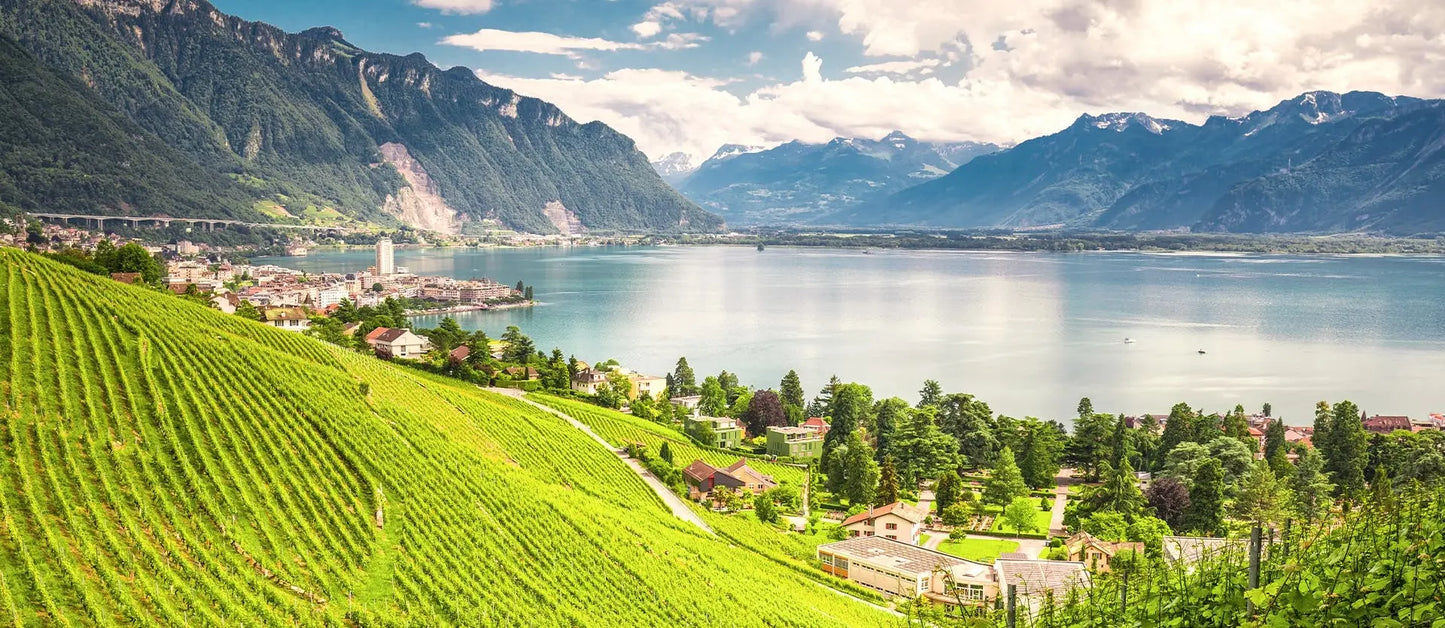 Meet the Alps:  Escorted Alps & Cities of Switzerland