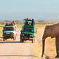 Meet Kenya: Savannah, Safari & Maasai Mara