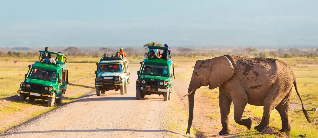 Meet Kenya: Savannah, Safari & Maasai Mara