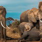 Meet Kenya: Savannah, Safari & Maasai Mara