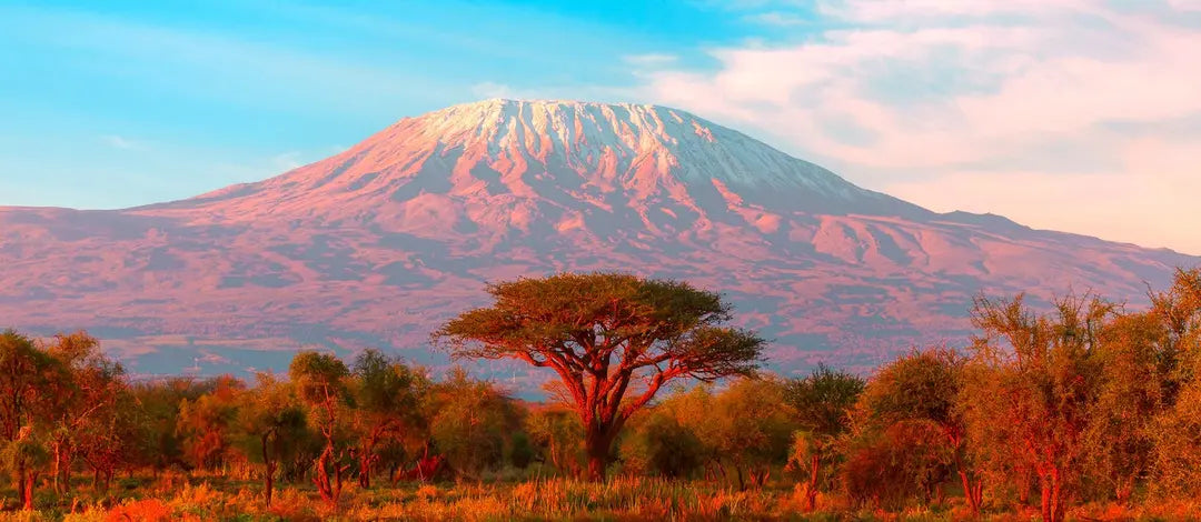 Meet Kenya: Savannah, Safari & Maasai Mara
