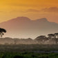 Meet Kenya: Savannah, Safari & Maasai Mara