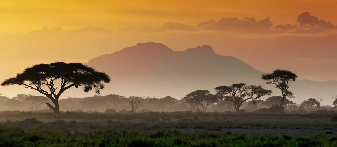Meet Kenya: Savannah, Safari & Maasai Mara
