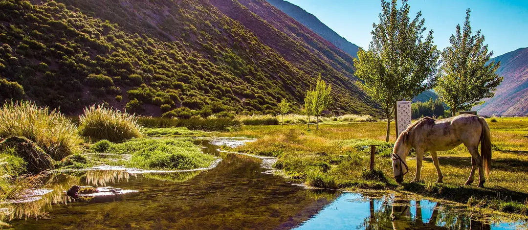 Meet Chile & Argentina:  South American Capitals & Mendoza