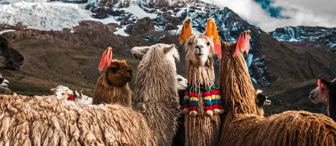 Meet Peru, Argentina & Brazil:  Cities, Falls and Wonders