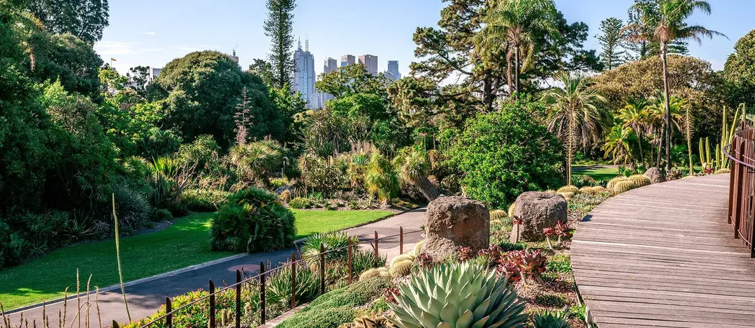 Meet Australia:  The Ultimate Australian Tour
