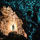 Meet New Zealand's Wonders