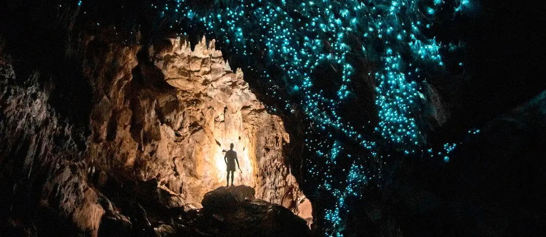 Meet New Zealand's Wonders