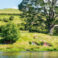 Meet New Zealand's Wonders