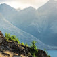 Meet New Zealand's Wonders