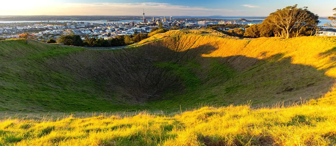 Meet New Zealand's Wonders