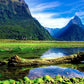 Meet New Zealand's Wonders