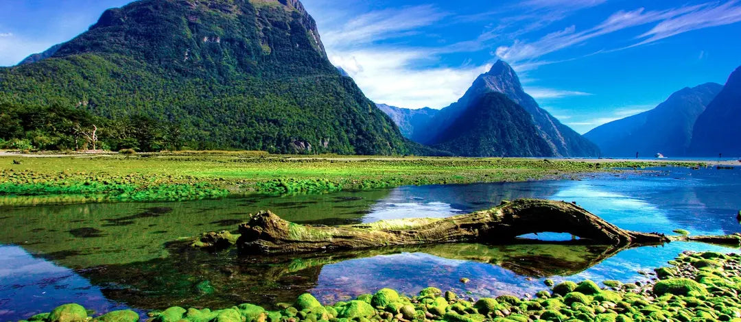 Meet New Zealand's Wonders